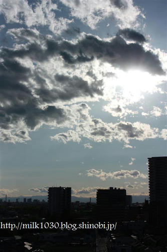 IMG_7784_R.jpg