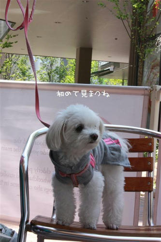 a207902a.jpg