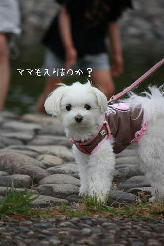 IMG_8033_R.jpg