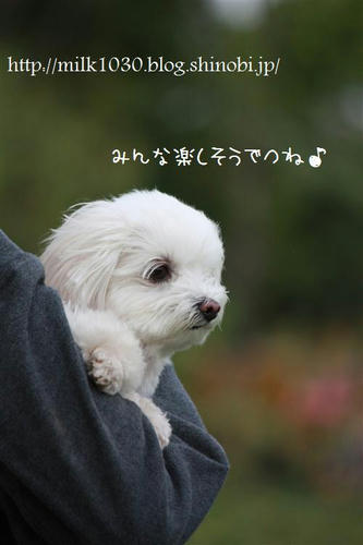 IMG_8078_R.jpg