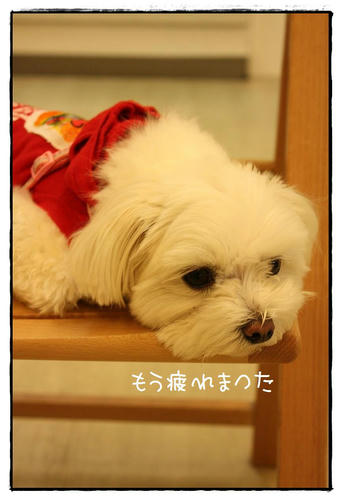 IMG_8777_R.jpg