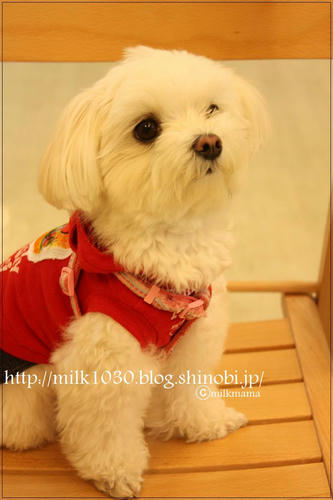 9fc50eb8.jpg