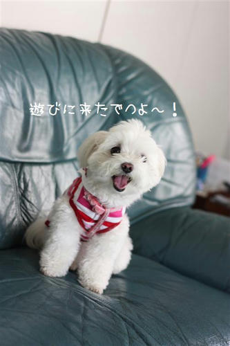 IMG_8838_R.jpg