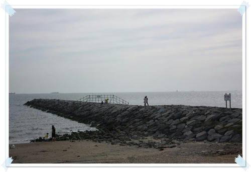 IMG_9648_R.jpg