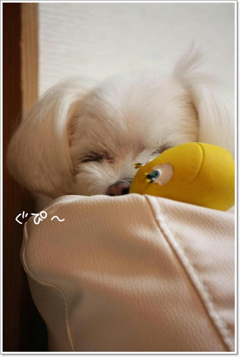 IMG_9740_R.jpg