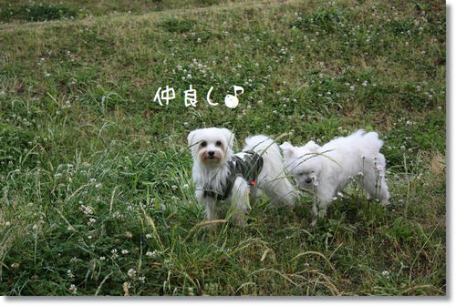 IMG_0058_R.jpg