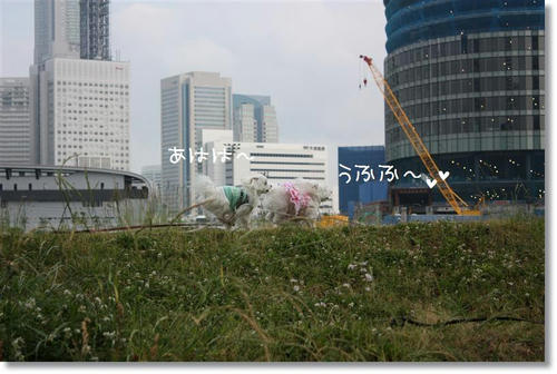 IMG_0067_R.jpg