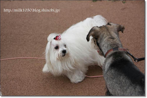 IMG_1288_R.jpg