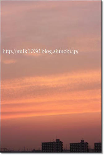 IMG_2485_R.jpg