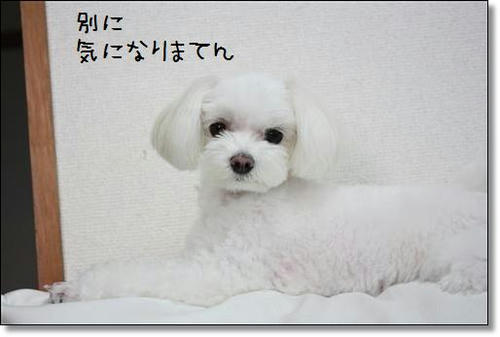 IMG_2750_R.jpg
