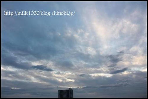 IMG_2808_R.jpg