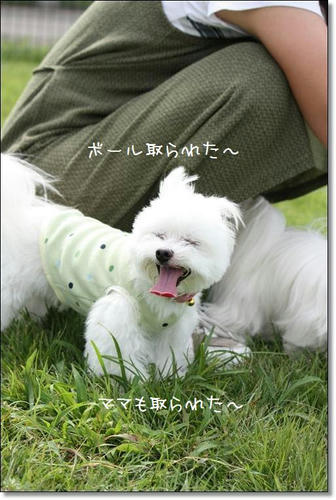 IMG_2975_R.jpg
