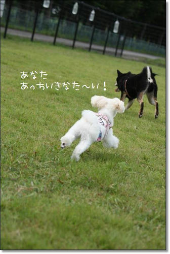 IMG_2948_R.jpg