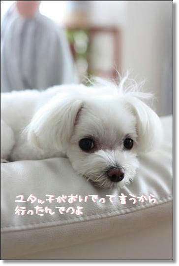 IMG_4129_R.jpg
