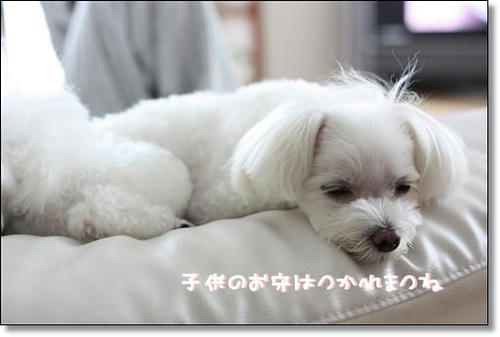 IMG_4132_R.jpg