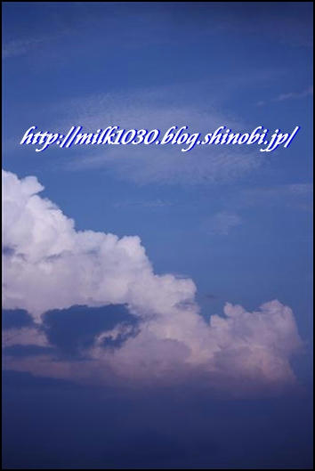 IMG_4168_R.jpg