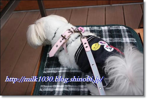IMG_4209_R.jpg