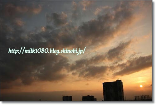 IMG_4402_R.jpg