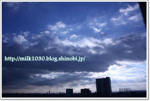 IMG_4411_R.jpg