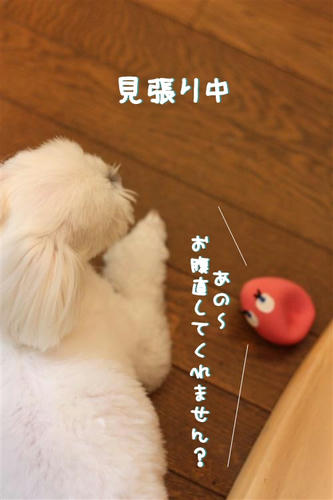 IMG_4492_R.jpg