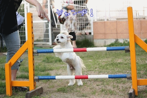 df7b8ac9.gif