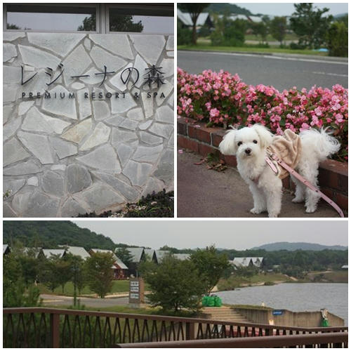 80f8acd6.jpg