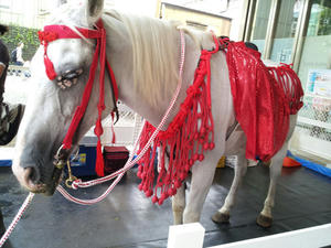 20110818-0.jpg