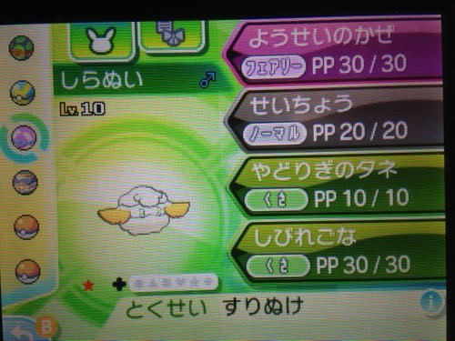 光るお守りげっとした 十番目のうま