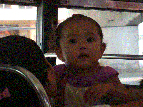 DSC01303.gif