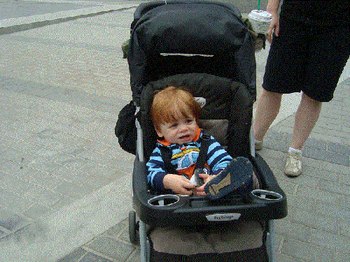 DSC01384.gif