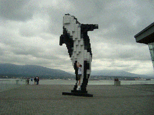 DSC01382.gif