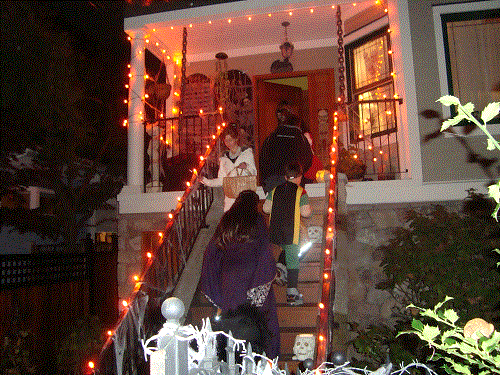 DSC01777.gif