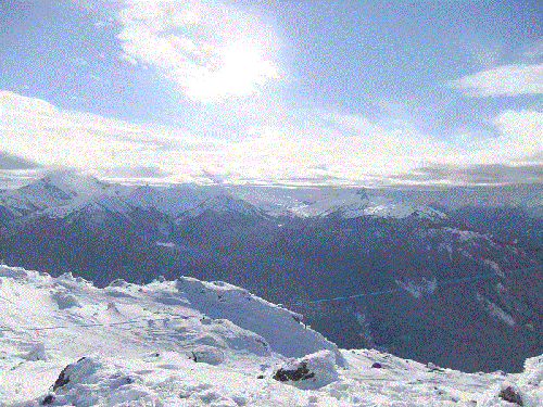 DSCF0246.gif