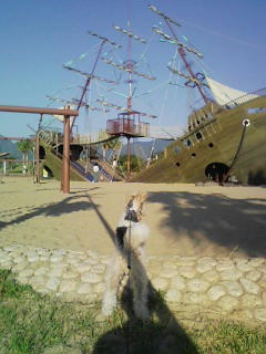 DVC00008.JPG