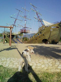 DVC00009.JPG