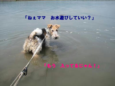 f834d665jpeg