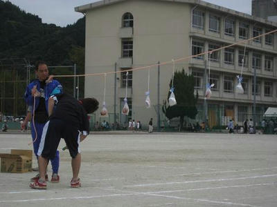 d314d070.jpeg