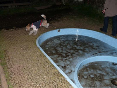 c1.JPG