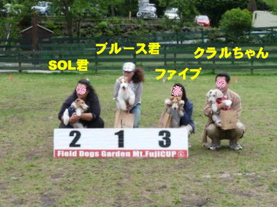 b9.jpg