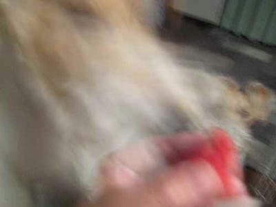 5f668c41.jpeg