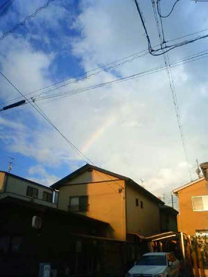 NEC_0074.JPG