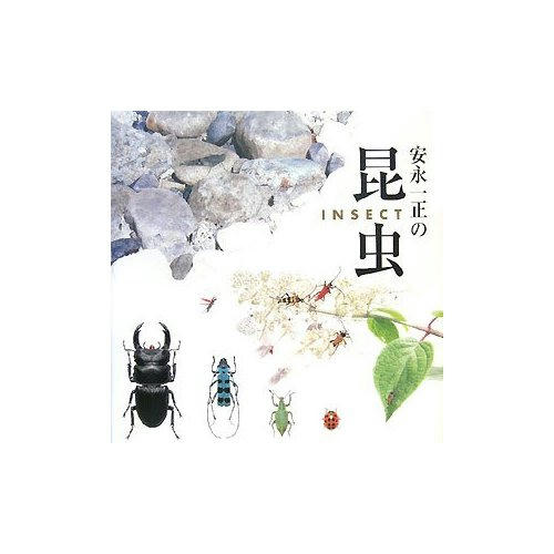 虫のイラスト