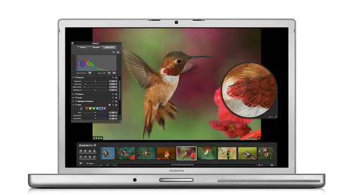 mbp15