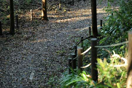 里山の道