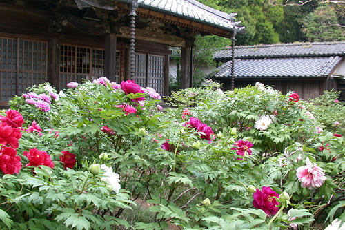 清水公園裏あたりとか