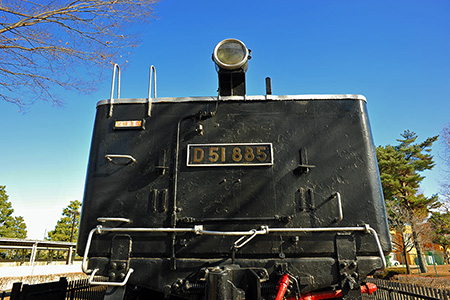 D51