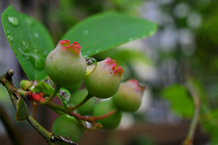 waterdrops