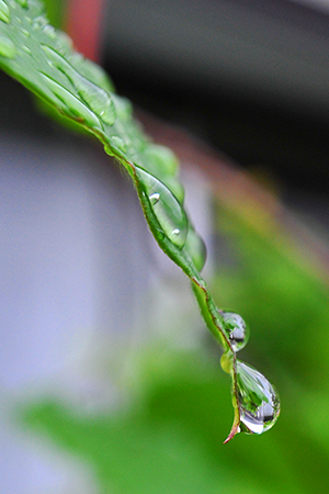 waterdrops