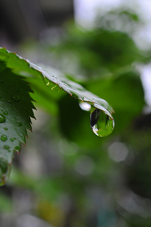 waterdrops