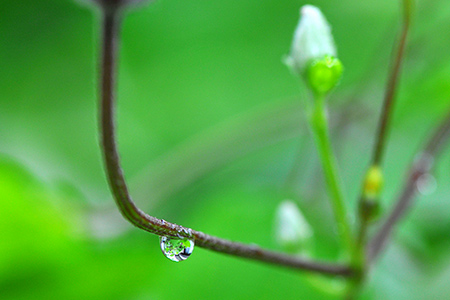 waterdrops